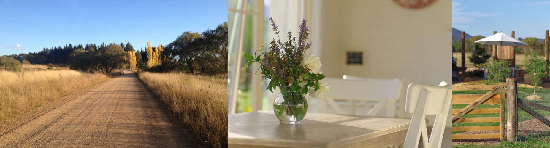 dirt road flowers gate