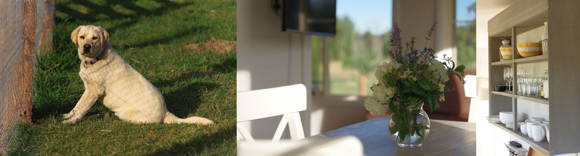 dog vase shelf